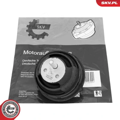 Bilde av Lagring, motor, Foran Esen skv 75SKV180 bmw OE 11 81 1 131 678, 137 149, 139 019