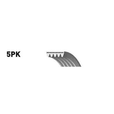 Bilde av SNR CA5PK1435 Kileribberem 1435 5 AUDI: A6 C5 Avant, A4 B5 B6 VOLKSWAGEN: Passat GP Stasjonsvogn, Golf 4, Bora Sedan