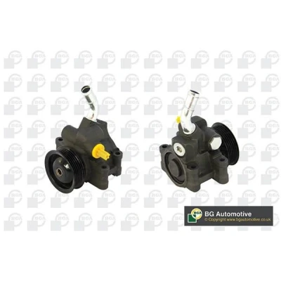 Bilde av Hydraulikkpumpe, styring, ford fiesta v, fusion, mazda 2, 1141655, 1227887, 1332457, 1357617, 1363849, 1366465, 1426694, 1495668, 166607