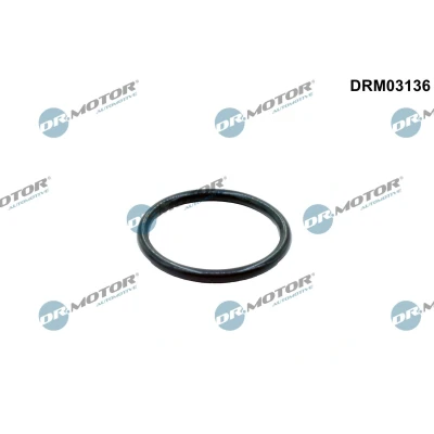 Bilde av DR.MOTOR AUTOMOTIVE DRM03136 Pakninger VOLKSWAGEN: Transporter 5 Bus