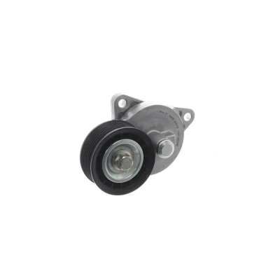 Bilde av SKF VKM 34010 Strammerull FORD: Transit Connect Mk1 Van, Focus Hatchback, Stasjonsvogn