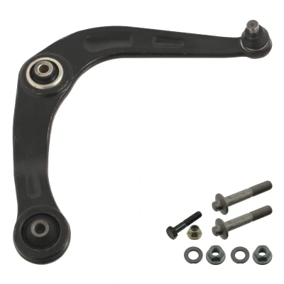 Bilde av FEBI BILSTEIN 40790 Bærebru med tilleggsmateriale framaksel høyre, nede Casterstag Stålstøpegods PEUGEOT: 206 Hatchback, SW