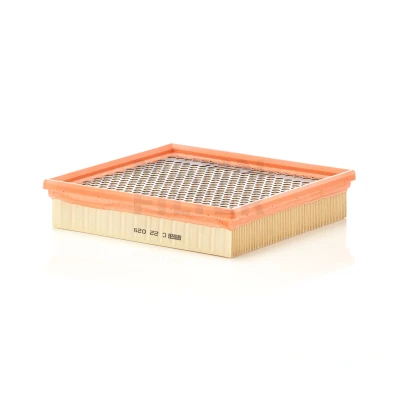 Bilde av MANN FILTER C 22 029 Luftfilter 45 222 213 Filterinnsats CHRYSLER: 300C Sedan, JEEP: GRAND CHEROKEE 4