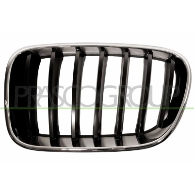 Bilde av PRASCO BM8042004 Radiatorgitter venstre krom/sort BMW: X3