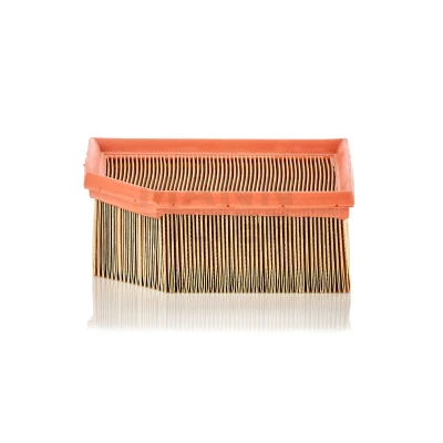 Bilde av MANN FILTER C 1995 Luftfilter 70 171 189, 139 Filterinnsats CITROËN: Berlingo / First I, I Van