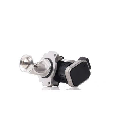 Bilde av DELPHI EG10431 12B1 EGR Ventil uten tetning VOLKSWAGEN: Sharan I