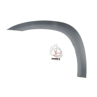Bilde av BLIC 5703 08 8179373P Pynte / beskyttelseslist, skvettskjerm foran venstre TOYOTA: RAV4 II SUV