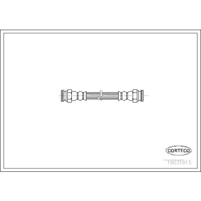 Bilde av CORTECO 19031613 Bremseslange bakaksel 165 FIAT: Panda II Hatchback, 500 Hatchback