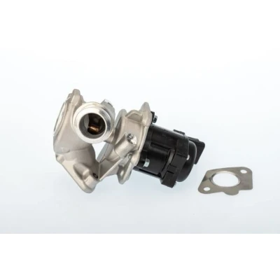 Bilde av WAHLER 711020D EGR Ventil elektrisk Med sensor VOLVO: V70 3, V50, S40 II, FORD: Focus 2, 2 Kombi, FIESTA 6, MAZDA: 3 Hatchback