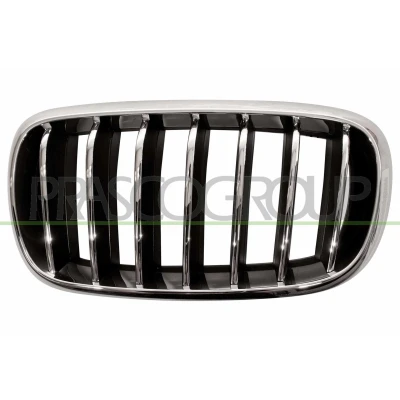 Bilde av BLIC 6502 07 00969933P Radiatorgitter foran venstre krom, svart BMW: X5