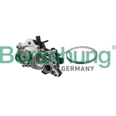 Bilde av Borsehung B11207 Vannpumpe SKODA: Octavia 3 Combi, Schrägheck, Yeti, VOLKSWAGEN: Scirocco III