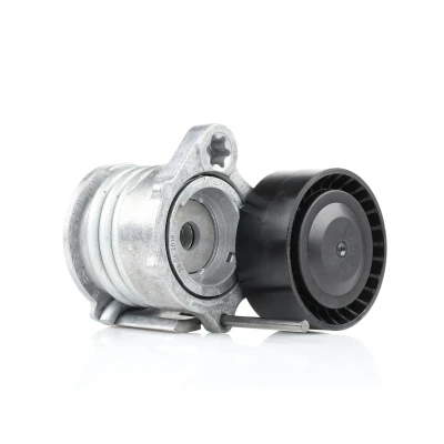 Bilde av FEBI BILSTEIN 32248 Spennarm BMW: 1 Hatchback, 3 Touring, Coupé
