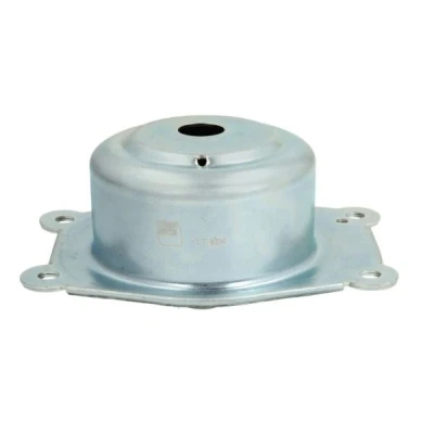 Bilde av REINHOCH RH11 5019 Holder, motoropphengning girkassesiden, framaksel