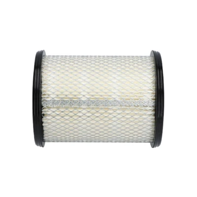 Bilde av Luftfilter, nissan navara, pick up, 165462S600, 165462S601, 165462S602