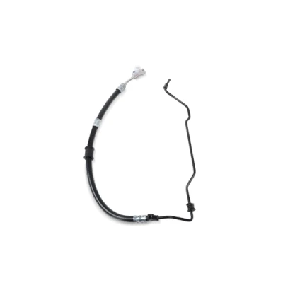 Bilde av FEBI BILSTEIN 186139 Hydraulikkslange, styring VOLKSWAGEN: Polo IV Hatchback, SKODA: Fabia I Hatchback