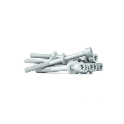 Bilde av REINZ 14 32037 01 Sylindertoppskrue innvendig torx OPEL: Omega A Sedan, Vectra Astra F Sedan