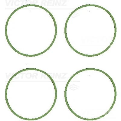 Bilde av Pakkningssett, innsugningsmanifold REINZ 11 11071 01