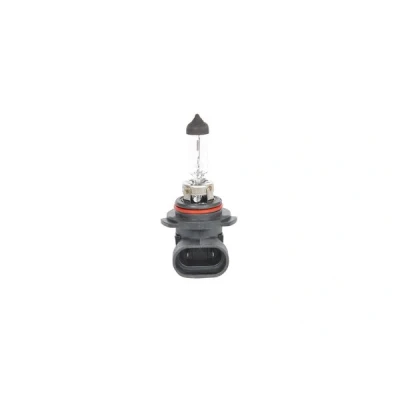 Bilde av BOSCH 1 987 302 808 Lyspære, fjernlys HB4 12V 51W Halogen VOLKSWAGEN: Caddy 3, Touran I, Passat B6 Variant, BMW: 5 Touring, 3 Sedan
