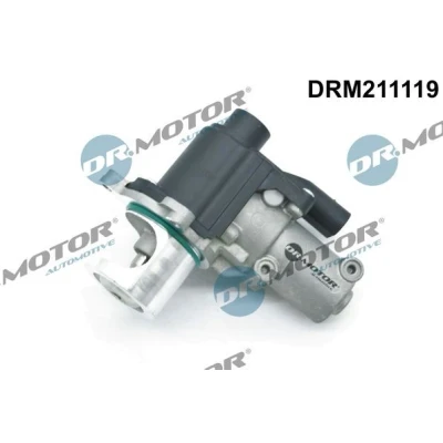 Bilde av DR.MOTOR AUTOMOTIVE DRM211119 EGR Ventil AUDI: A4 B8 Sedan, Avant, A6 C6 VOLKSWAGEN: Touareg I, II