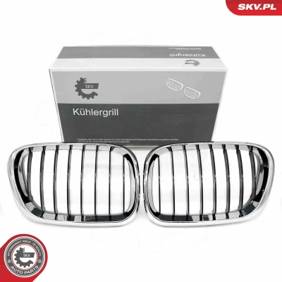 Bilde av ESEN SKV 66SKV273 Radiatorgitter krom/sort BMW: X5