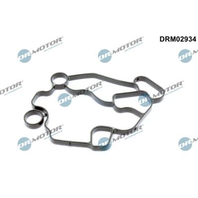 Bilde av DR.MOTOR AUTOMOTIVE DRM02934 Pakninger VOLKSWAGEN: Touran I, Passat B6 Variant, SKODA: Octavia 2 Combi, AUDI: A3 Sportback
