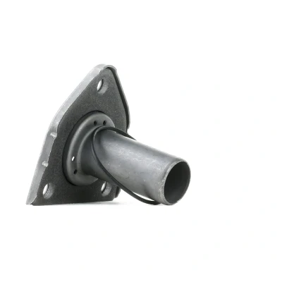 Bilde av SASIC 5950005 Føringshylse, clutch PEUGEOT: Partner II Van, 207 Hatchback, 308 I SW, CITROËN: C5 Stasjonsvogn, Berlingo C3 III