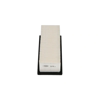 Bilde av Luftfilter nissan kubistar skåp, renault clio ii, kangoo, kangoo express, thalia i, twingo skåp/halvkombi i OE 1654600QAL, 8200104272