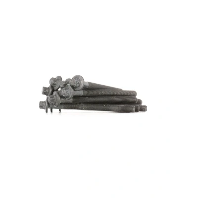 Bilde av FEBI BILSTEIN 24074 Sylindertoppskrue utvendig torx NISSAN: Qashqai 2, DACIA: Duster SUV