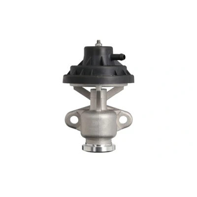 Bilde av VALEO 703257 EGR ventil pneumatisk uten kjøler, med tetning VOLKSWAGEN: Caddy 3, Polo IV Hatchback, Golf 4, SKODA: Octavia 1 Combi