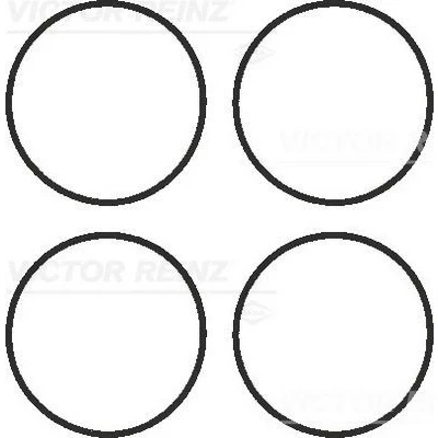 Bilde av REINZ 11 41336 01 Tetningssett, innsugningsmanifold BMW: 5 Touring, Sedan, 3 Sedan