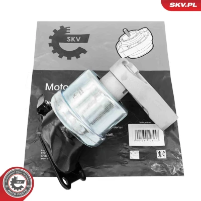 Bilde av Lagring, motor, Høyre Esen skv 75SKV174 vw OE 7E0 199 256 H, 7H0 F,