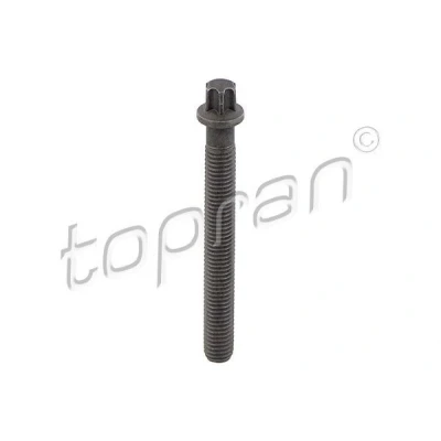 Bilde av TOPRAN 503 132 Remskiveskrue BMW: 5 Touring, X5, 3 Touring