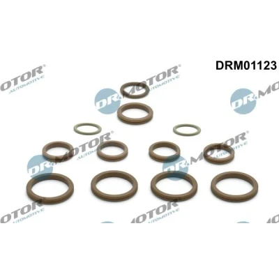 Bilde av DR.MOTOR AUTOMOTIVE DRM01123 Reparasjonssett, klimaanlegg RENAULT: MEGANE 2 Kombi