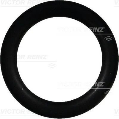 Bilde av O ring REINZ 40 76391 00