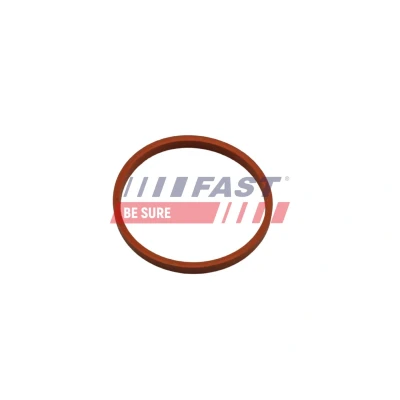 Bilde av FAST FT48932 Tetningsring, laseluftslange RENAULT: MEGANE 3 Grandtour,