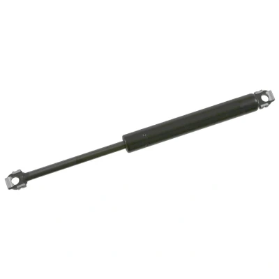 Bilde av FEBI BILSTEIN 01785 Gassfjær 490 256,5 på begge sider BMW: 7