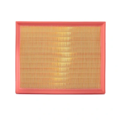 Bilde av AUTOMEGA 180027610 Luftfilter Filterinnsats AUDI: A4 B7 Avant, B6 Sedan