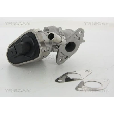 Bilde av TRISCAN 8813 16100 EGR Ventil elektrisk med tetning FORD: Transit Mk6 Van, Minibuss, Flatvogn lastebil/Chassis
