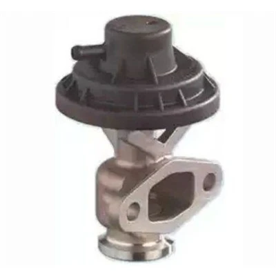 Bilde av MAGNETI MARELLI 571822112156 EGR Ventil VOLKSWAGEN: Caddy 3, Golf 5