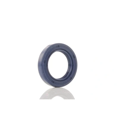 Bilde av REINZ 81 53224 00 Kamaksel Tetningsring HONDA: CRX 3, CIVIC 5 Stufenheck