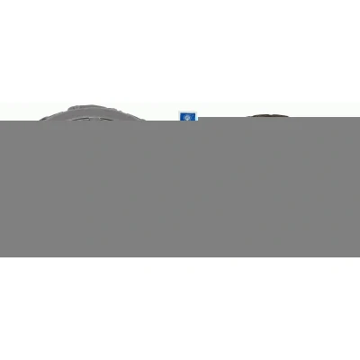 Bilde av SACHS 3000 970 141 Clutch uten utløserlager 228