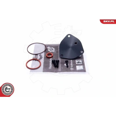 Bilde av Reparatorsett, undertrykkspumpe (bremsesystem), audi,ford,seat,skoda,vw, 028145101A, 028145101E, 028145101F, 1030353, 95VW2A451AB