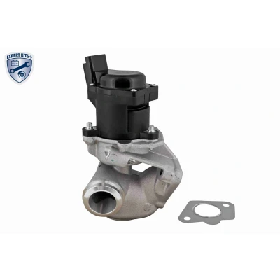 Bilde av VEMO V22 63 0005 EGR Ventil EXPERT KITS + elektrisk magnetventil, strupeventil med tetning, uten kjøler FORD: FIESTA 6, 5, CITROËN: C3 II