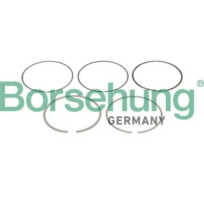 Bilde av Borsehung B10361 Stempelringsett VOLKSWAGEN: Polo V Hatchback, AUDI: A3 Sportback