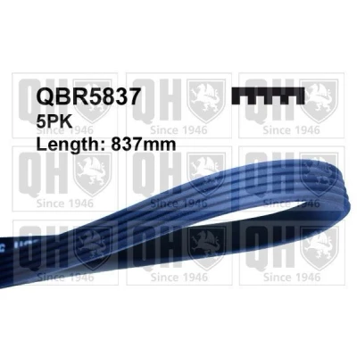 Bilde av QUINTON HAZELL QBR5837 Kileribberem 837 5 BMW: Sedan, Touring, 3 SUZUKI: Grand Vitara 2 SUV, SWIFT 3, SX4 I Hatchback
