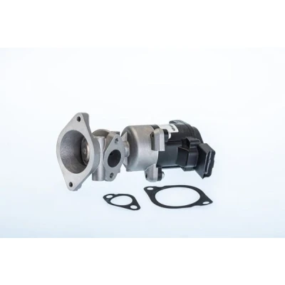 Bilde av WAHLER 710984R EGR Ventil elektrisk med tetning LAND ROVER: Discovery 3, Range Rover Sport, 4