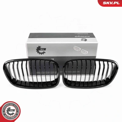 Bilde av ESEN SKV 66SKV012 Radiatorgitter svart, glanset BMW: 1 Hatchback