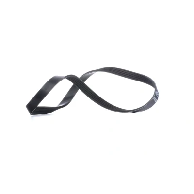 Bilde av FEBI BILSTEIN 28824 Kileribberem 810 5 EPDM (etyl propylen dien gummi) BMW: X5, Sedan, Touring, CITROËN: Berlingo / First I Van