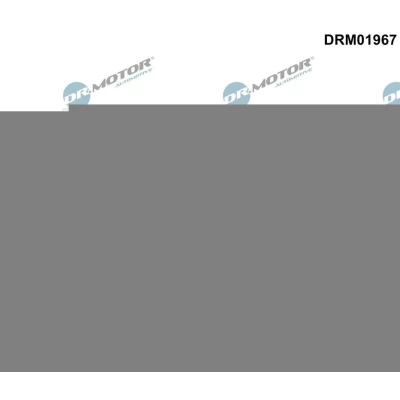 Bilde av DR.MOTOR AUTOMOTIVE DRM01967 Veivaksel Tetningsring framside AUDI: Coupe B3, A8 D2, A4 B5 Avant, VOLKSWAGEN: Passat GP Stasjonsvogn