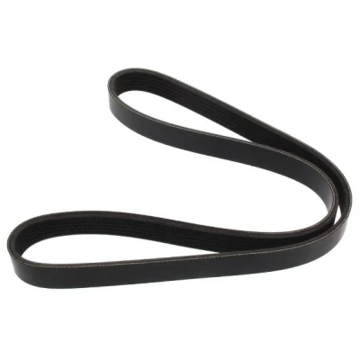 Bilde av MAPCO 261029E Kileribberem 1029 6 EPDM (etyl propylen dien gummi) FORD: MONDEO 4 Turnier, FIESTA 6,